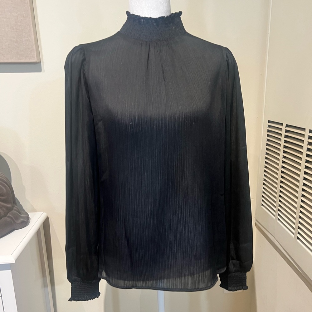 Express Sheer Black Blouse